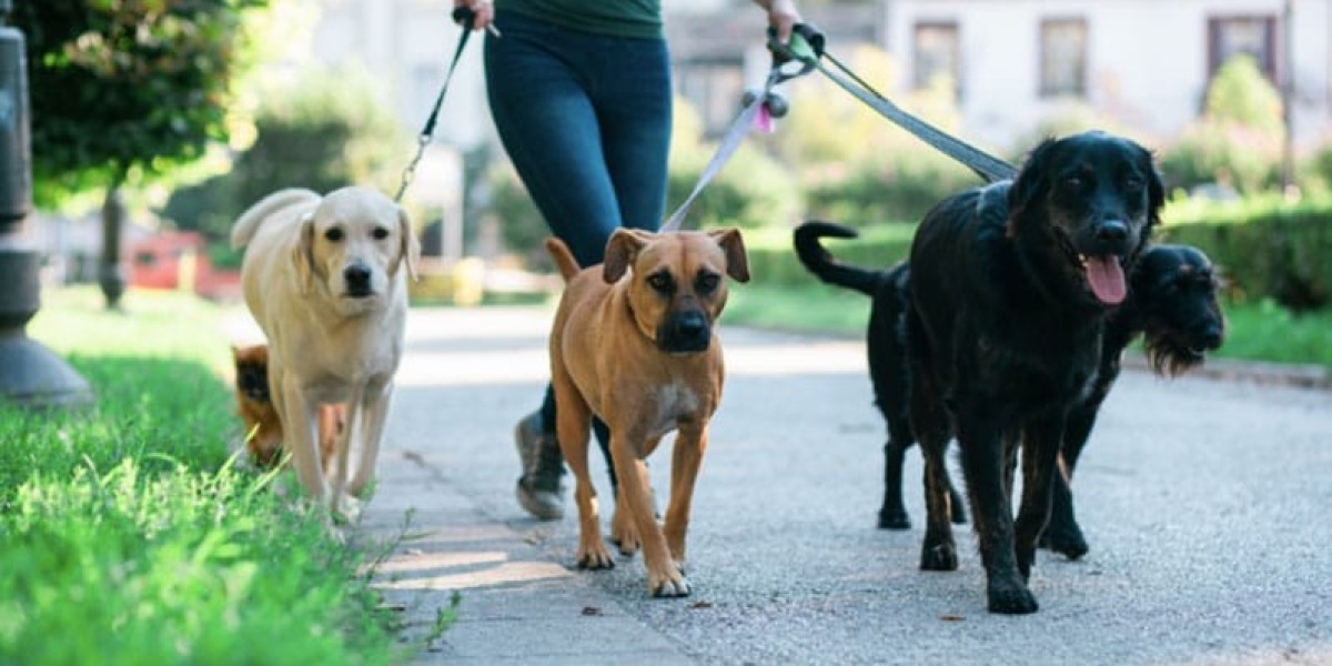 Can Pet Sitters in New Orleans Provide Daily Pet Updates via Photos or Videos?