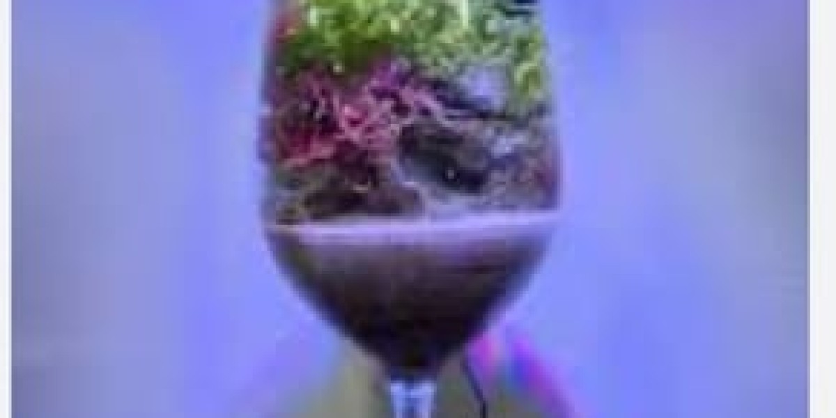 Unlocking Coral Growth: The Best Coral Additives for Dosing
