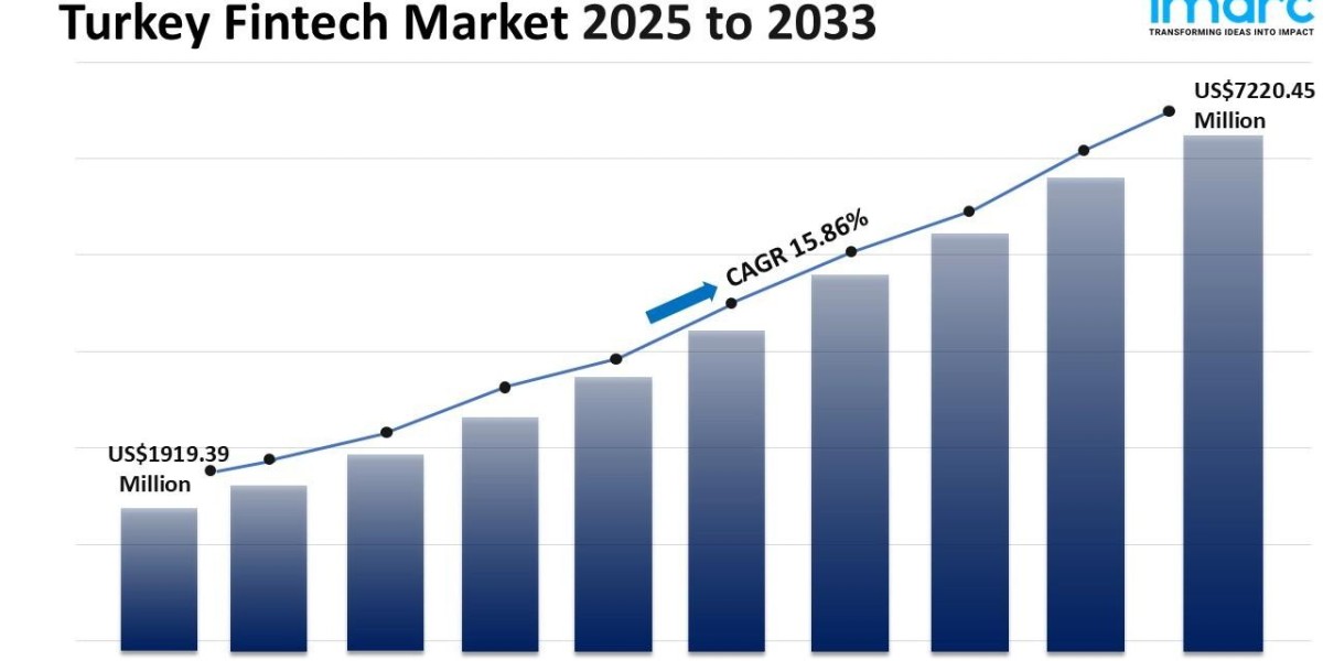Turkey Fintech Market Size, Share, Growth, Trends and Forecast 2025-2033