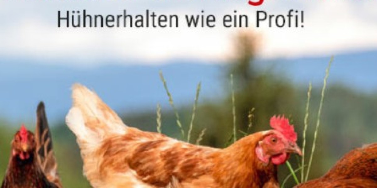Understanding Poultry Feed Nutrition for Better FCR