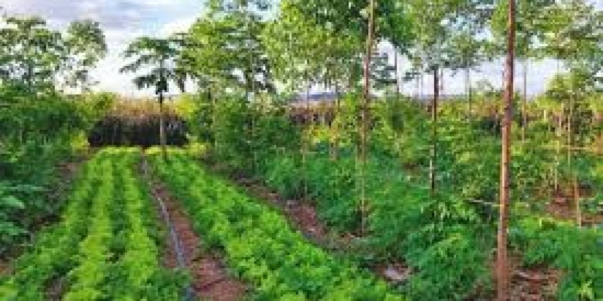 Regenerative Agriculture Market competitive landscape showcasing key players, strategies, and global expansion trends