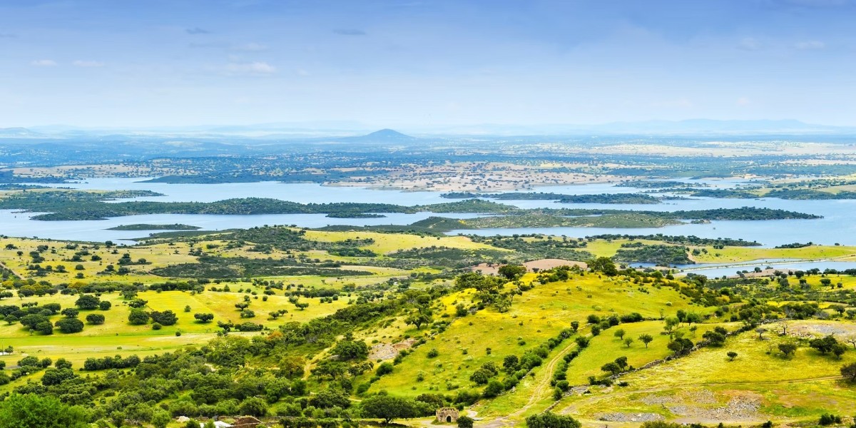Discover the Hidden Gem of Europe: Why Buying Agricultural and Farmland for Sale in Portugal Is a Smart Move