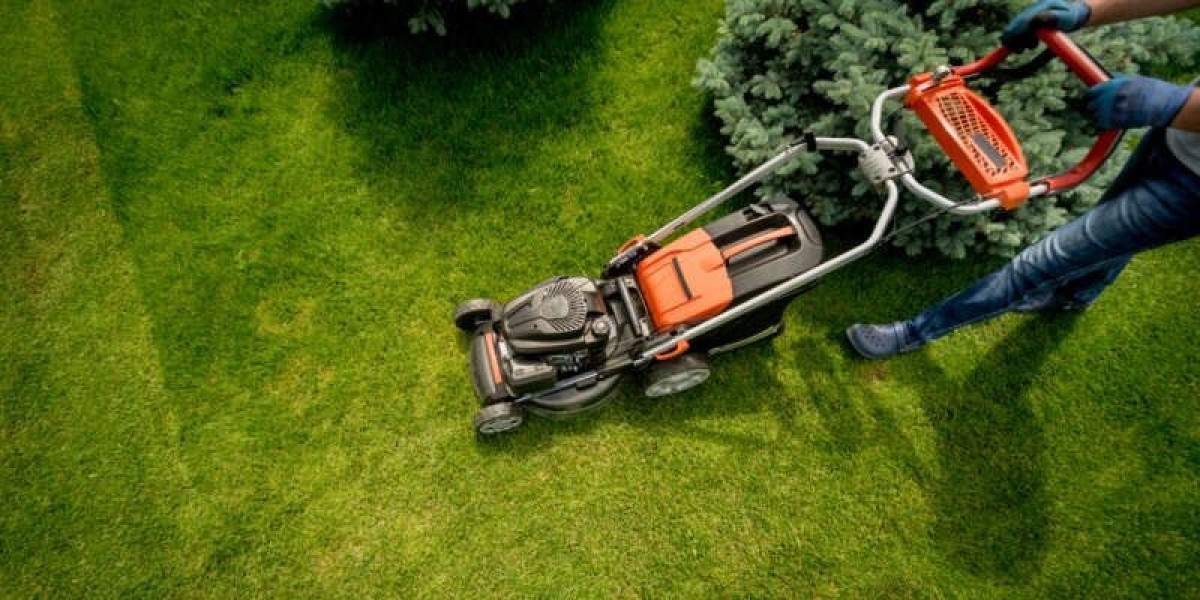 Effective Weed and Feed for Lawns Treatment