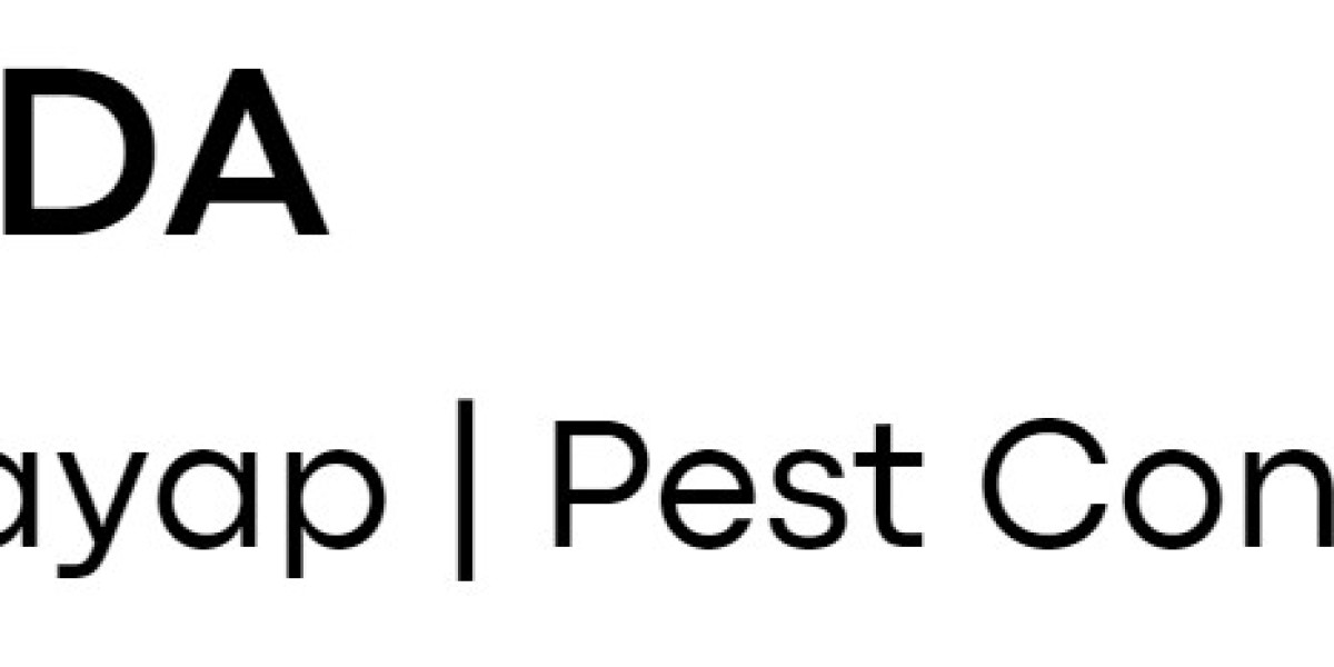 Fumida Offers Eco-Friendly Jasa Anti Rayap for Safe Termite Control