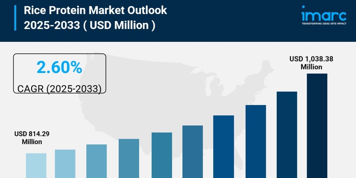 Global Rice Protein Market Size, Share, Analysis & Industry Growth 2025-2033