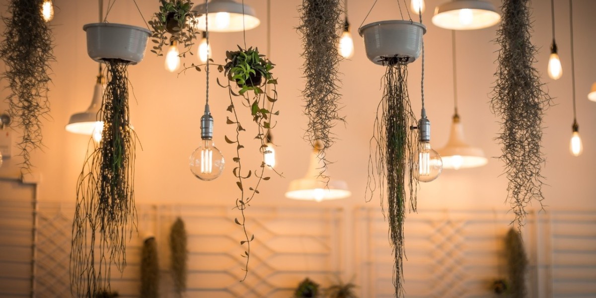 India Decorative Lighting Market Analysis, Growth & Trends Forecast 2025-2033