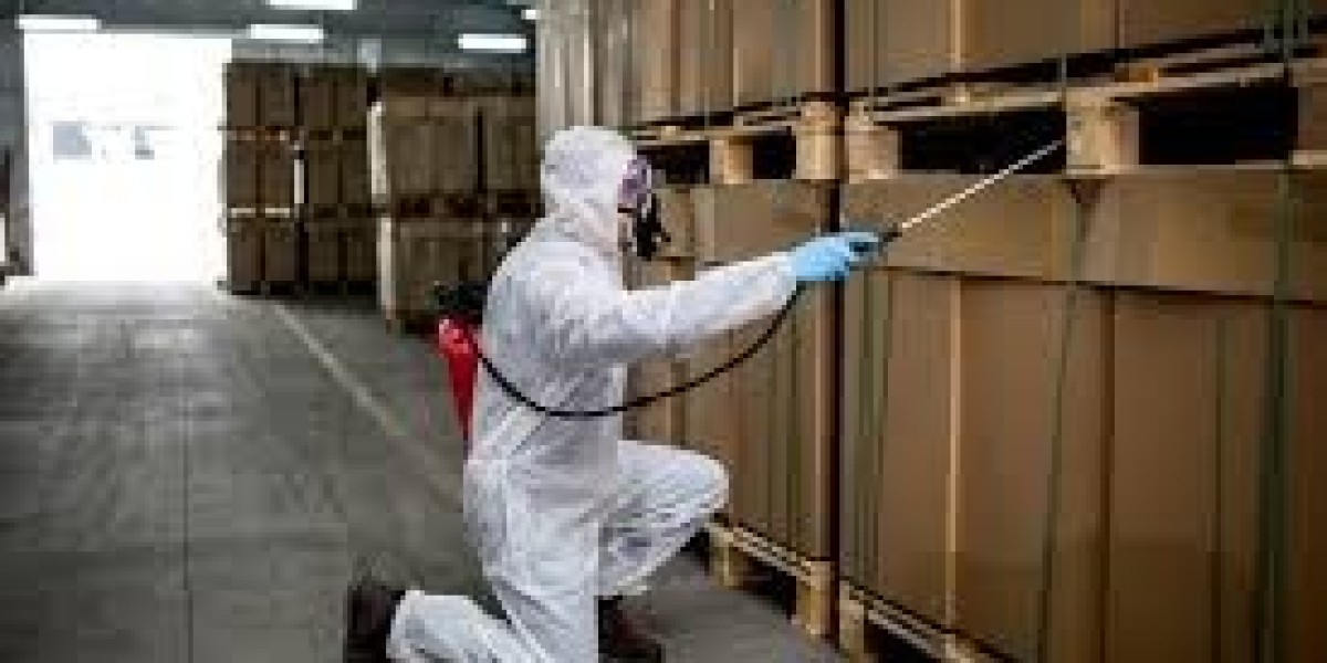 Pest Control Halton Hills: Keeping Your Property Safe