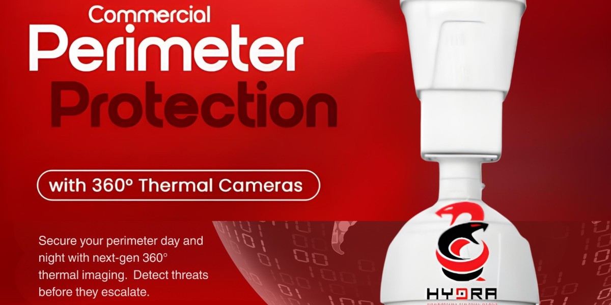 Intrusion Detection Systems in Physical Security: How 360° Surveillance Is Redefining Protection