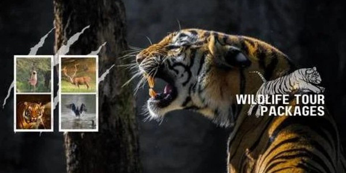 Experience the Magic of India with Hello India Tour: The Best Taj Mahal Tour and Wildlife Adventures