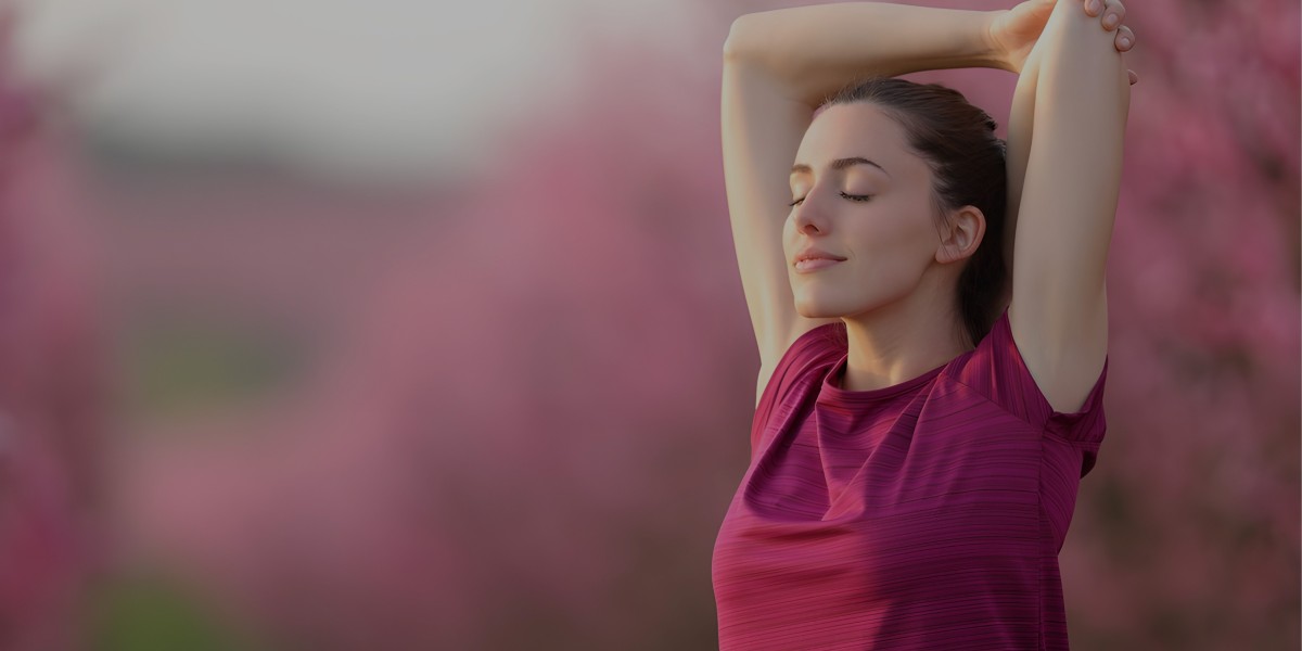 Cinnamon Bark Extract – The Power of Nature for Modern Wellness