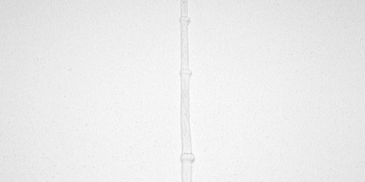 Prednisolon