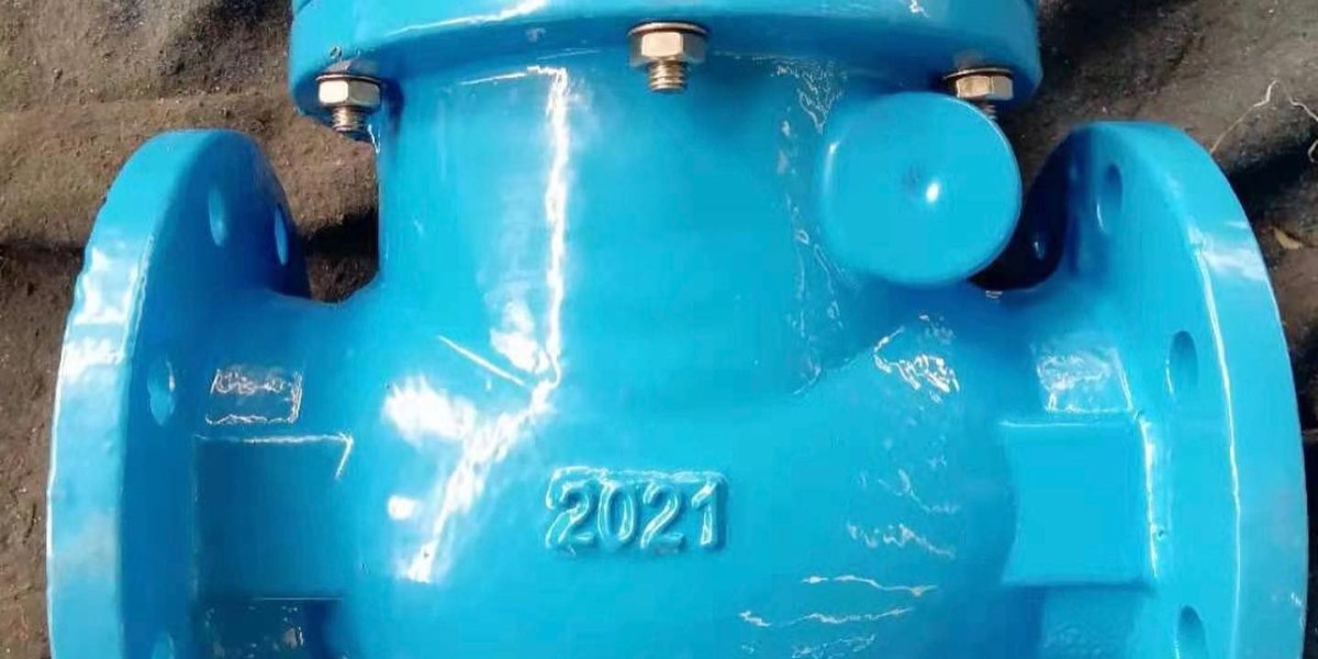 Non return valve suppliers in Saudi Arabia