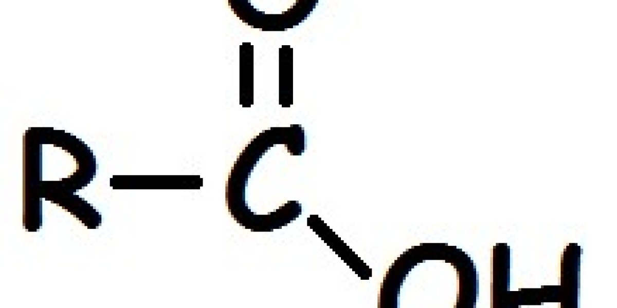 Organic Acid Market Opportunities in Functional Food, Beverages, and Dietary Supplement Applications