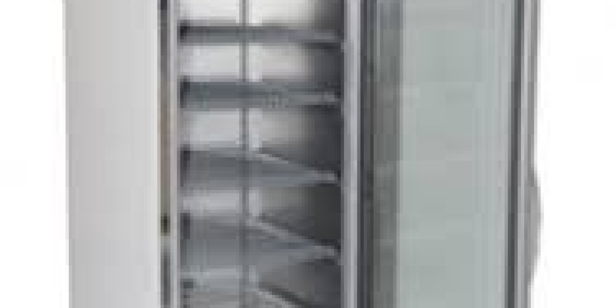 Biomedical Refrigerator Market Insights Reveal Increasing Demand for Portable and High-Capacity Storage Solutions