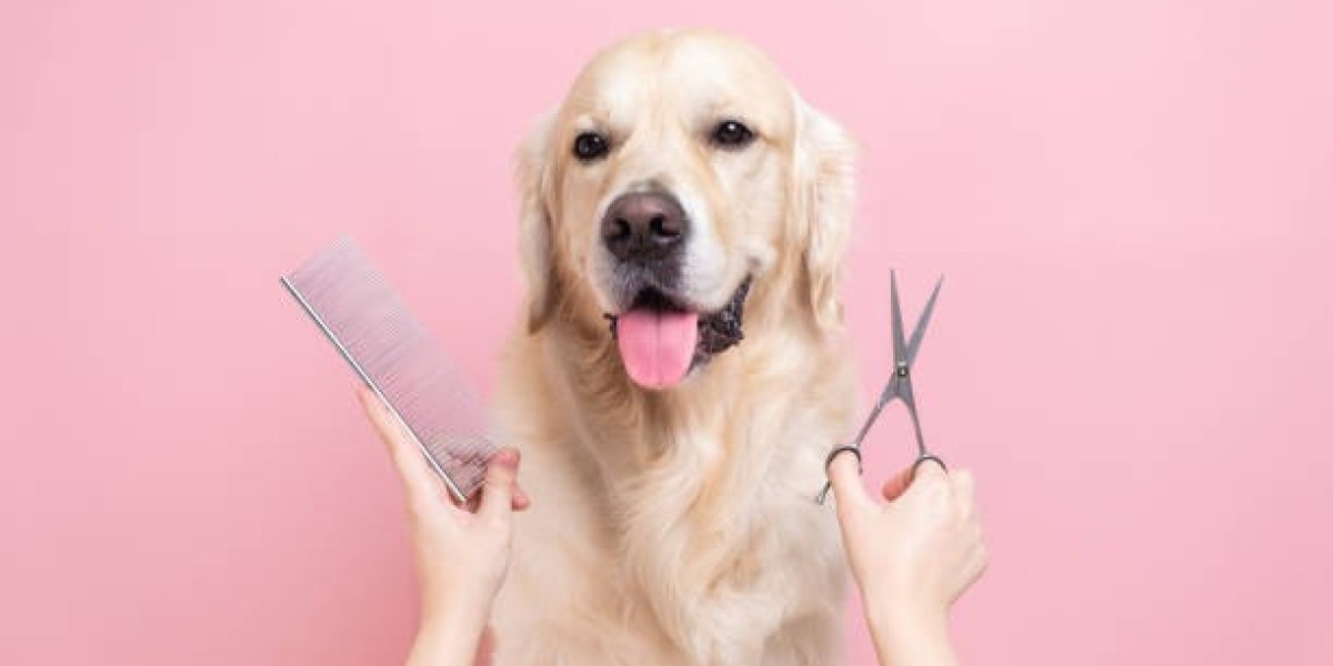 Everything You Need to Know About Professional Dog Grooming Services