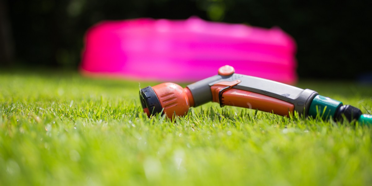 Choose DreamLawn for the Best and Varied Lawn Care Services