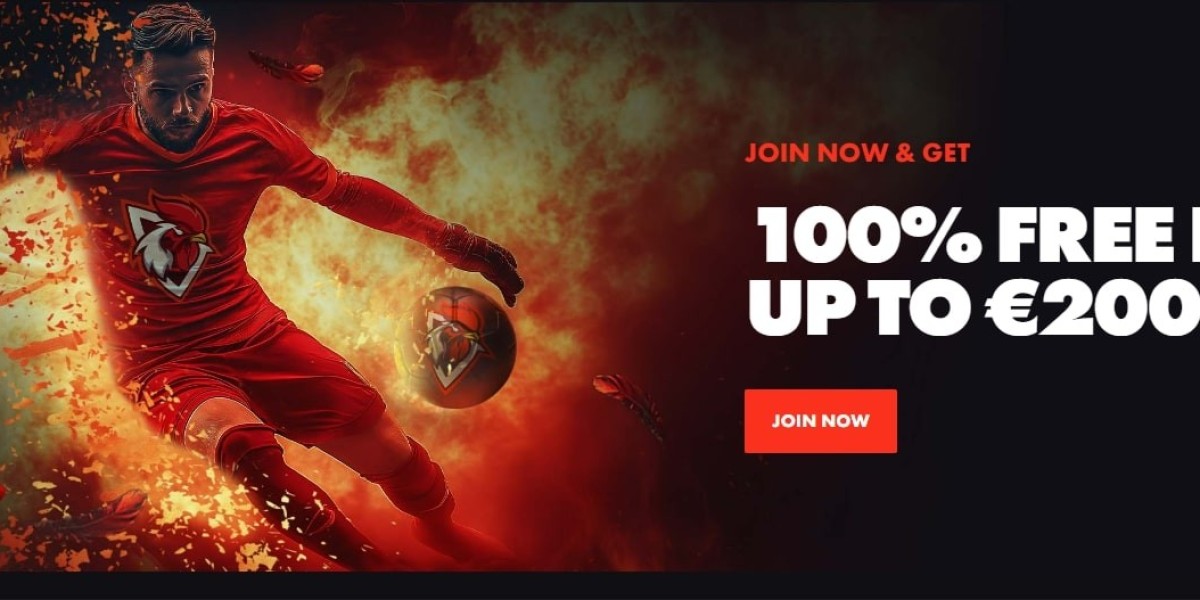 Einblicke in die deutsche Gaming-Prämienplattform Roosterbet