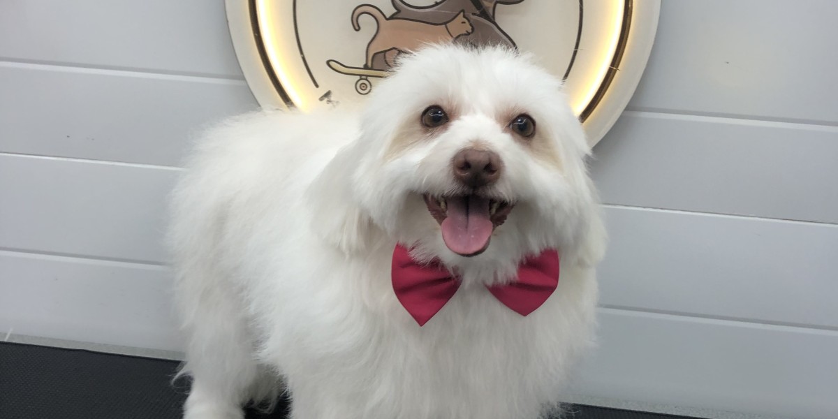 Luxury Mobile Pet Grooming in Qatar – Premium At-Home Care by Fluffy Tails