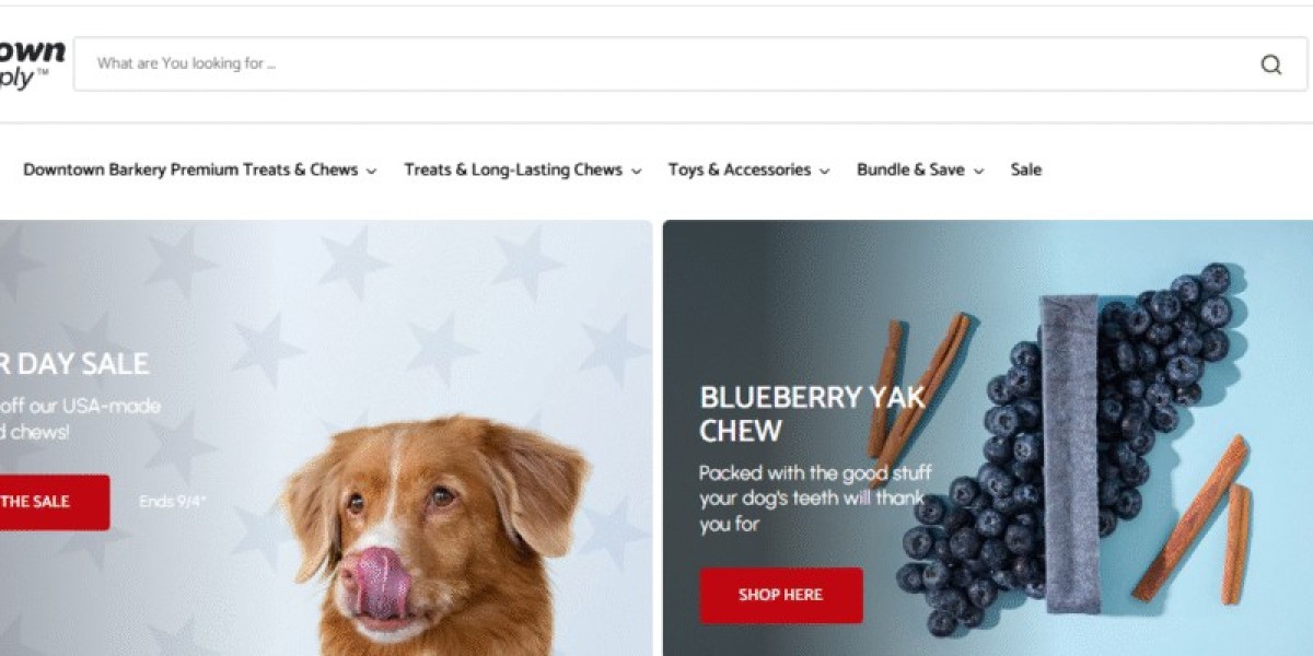 Treat Your Pets: 10% Off Downtown Pet Supply + Free Puzzle Feeder