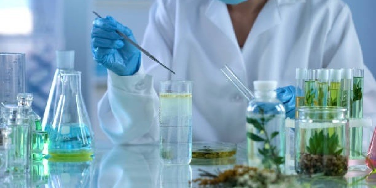 India Aroma Chemicals Market Size, Outlook, and Forecast 2025–2033