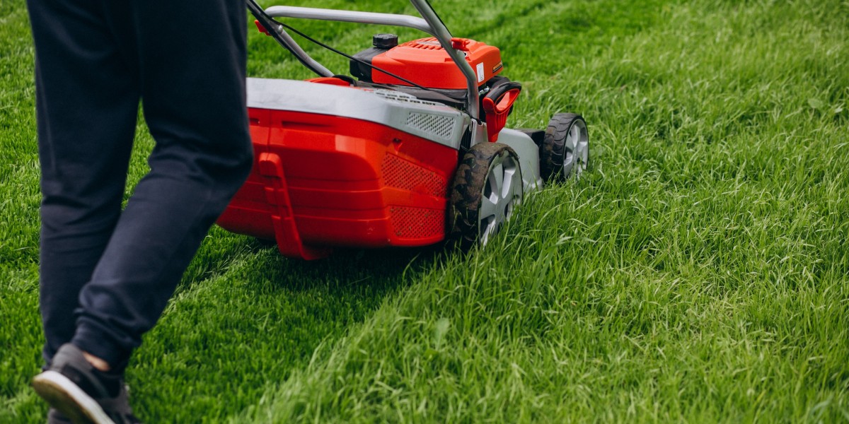 3 Professional Lawn Care Services to Consider in Omaha