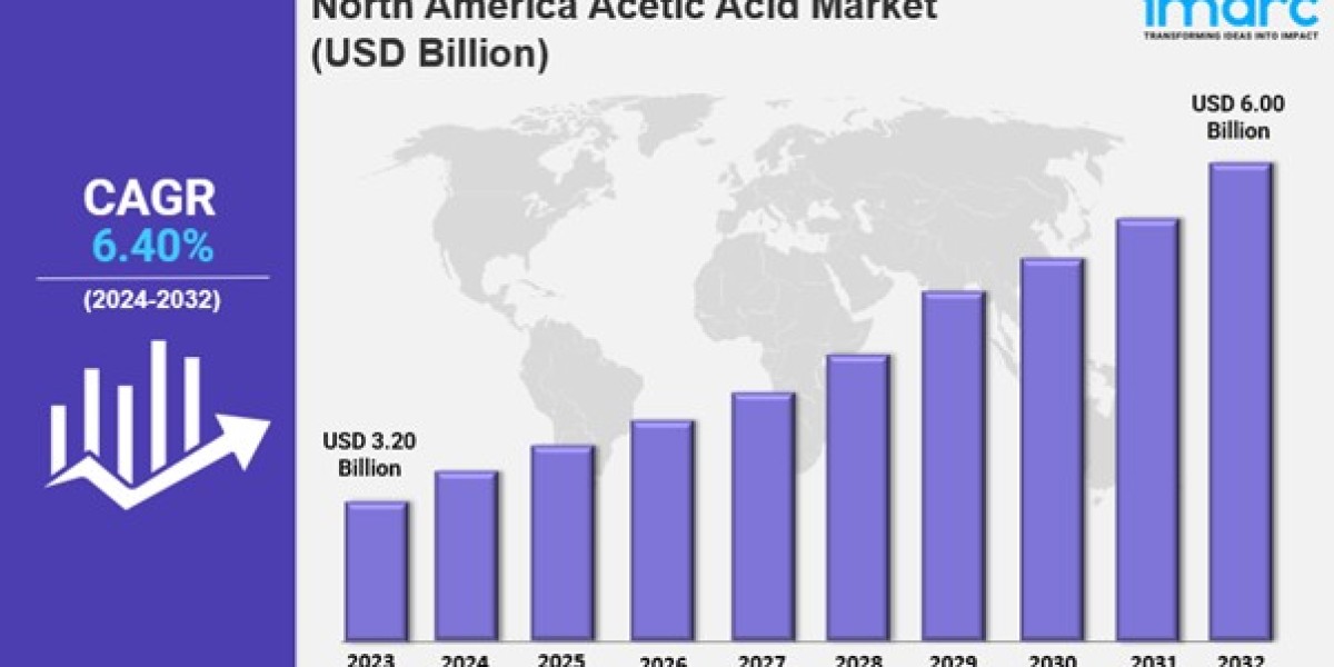 North America Acetic Acid Market Share, Size, In-Depth Analysis and Forecast 2025-2033