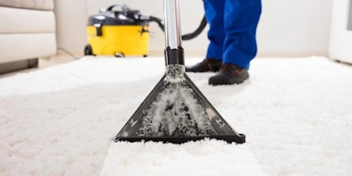 Reasons to Consider Professional Cleaners to Extend Your Carpets Long Life