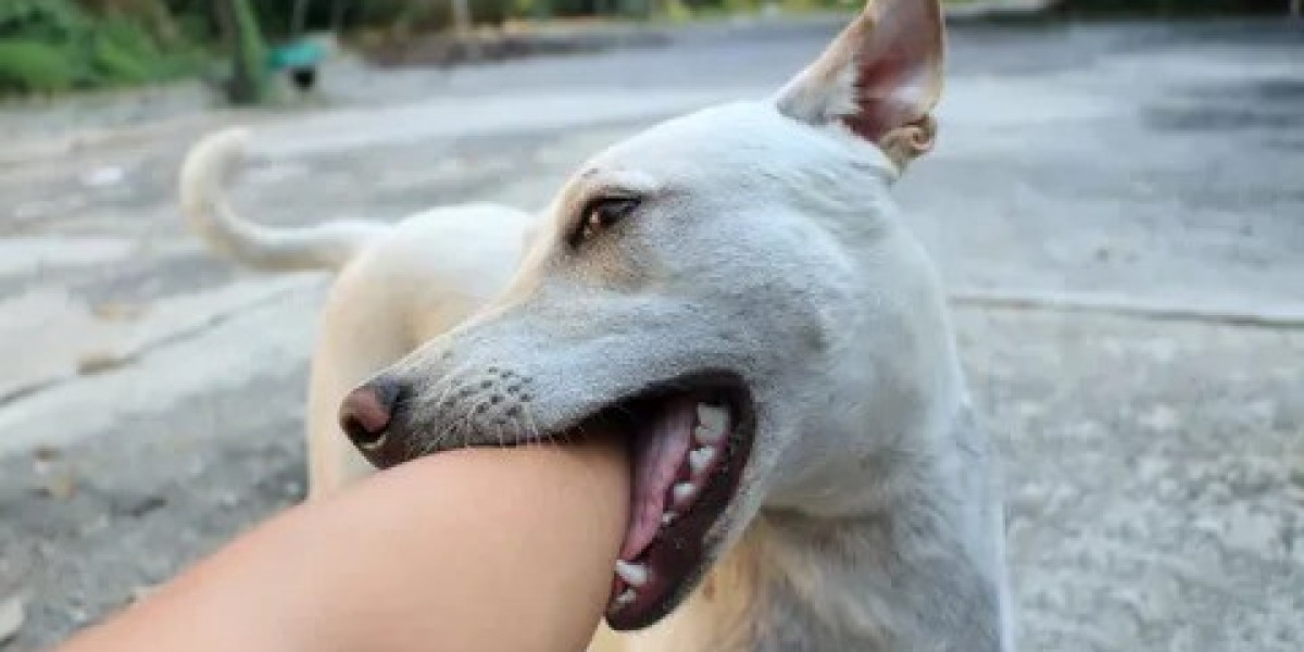 Emergency ER Urgent Care for Animal Bites League City