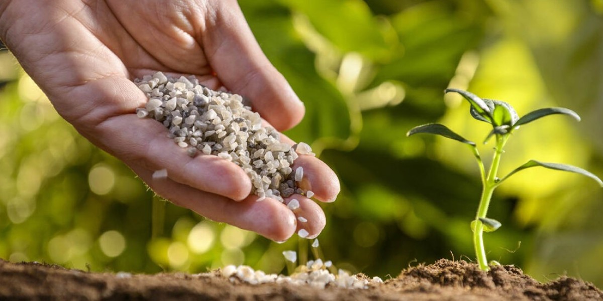 Agricultural Secondary Nutrients Market 2025 Size, Growth Analysis Report, Forecast to 2035