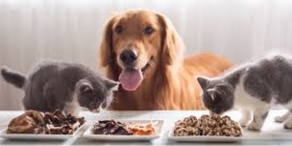 Pet Food Market Insights on Consumer Demand, Product Innovations, and Evolving Industry Dynamics
