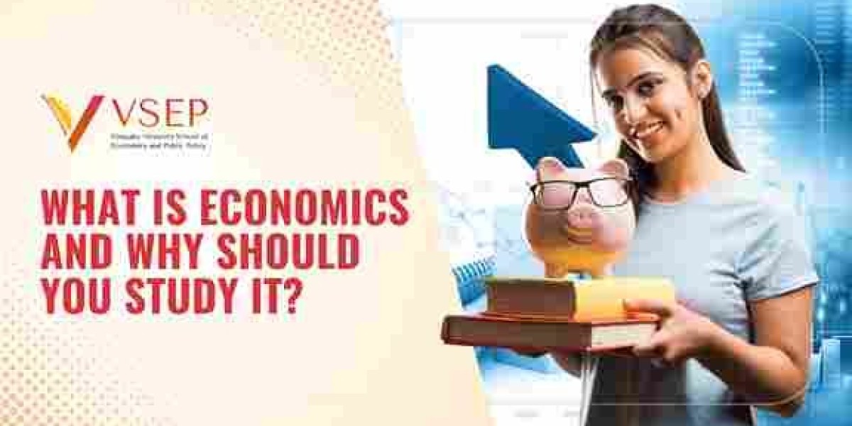 Explore B.Sc. Economics (Honours with Research) at VSEP — Where Economics Meets Data and Policy