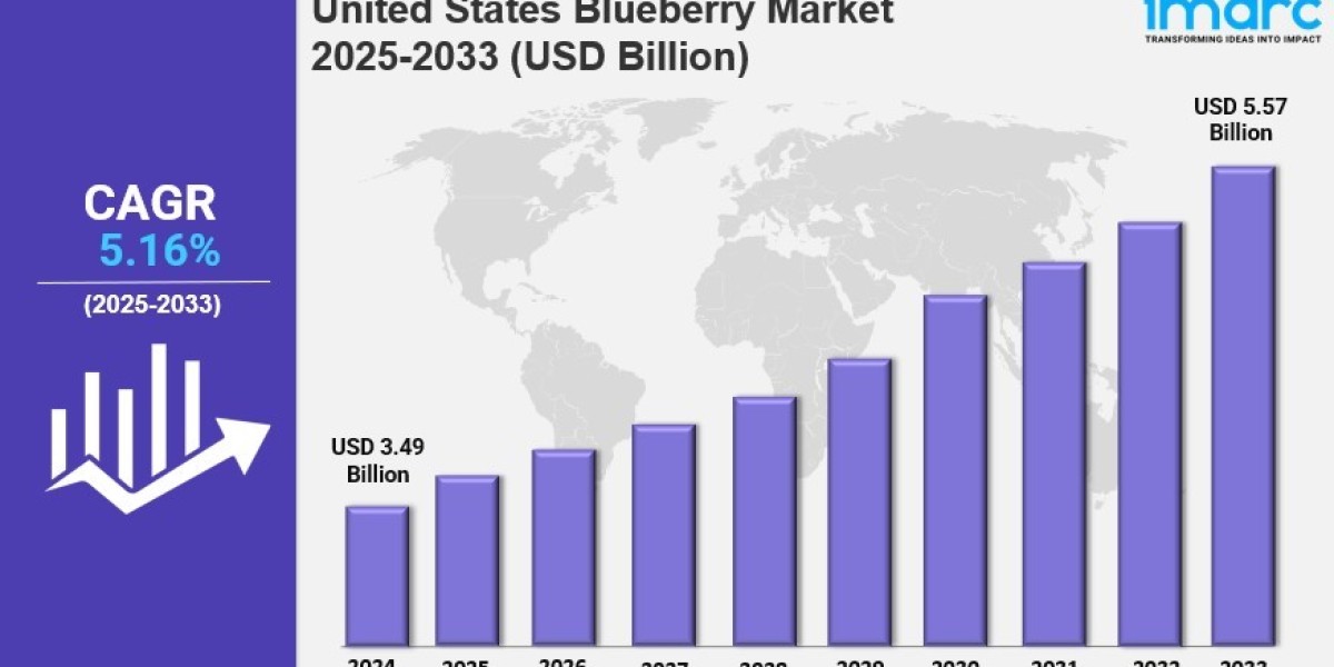 United States Blueberry Market Outlook: Trends, Growth Drivers & Key Statistics 2025-2033