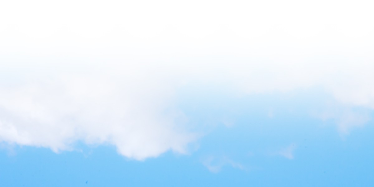 The Rise Of Private Jet Flights: A Case Study