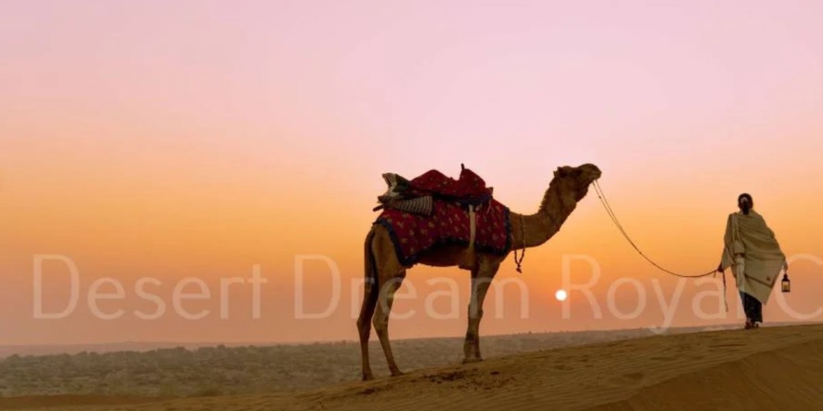 Experience the Best Camel Safari in Jaisalmer with Tradition and Luxury