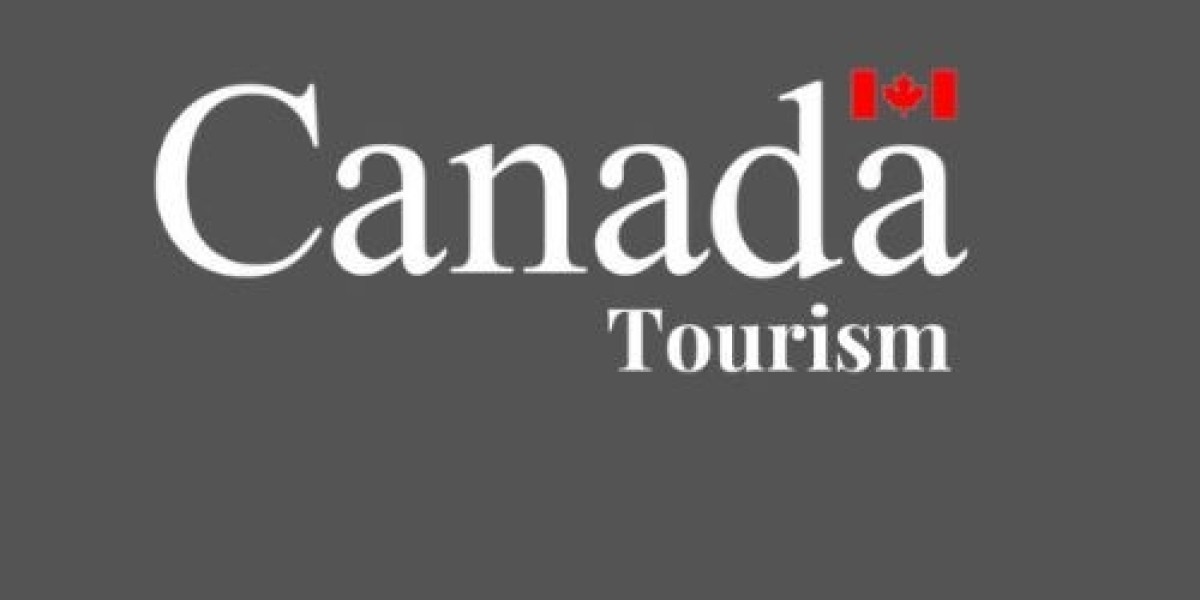 PRTD vs. PR Card Renewal: Which Canadian Travel Document Do I Need Right Now?