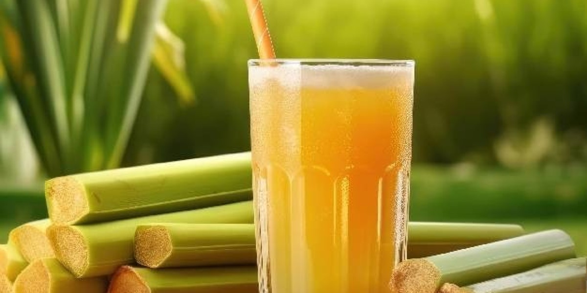 Guide to Setting Up a Sugarcane Juice Based Lactic Acid Manufacturing Plant