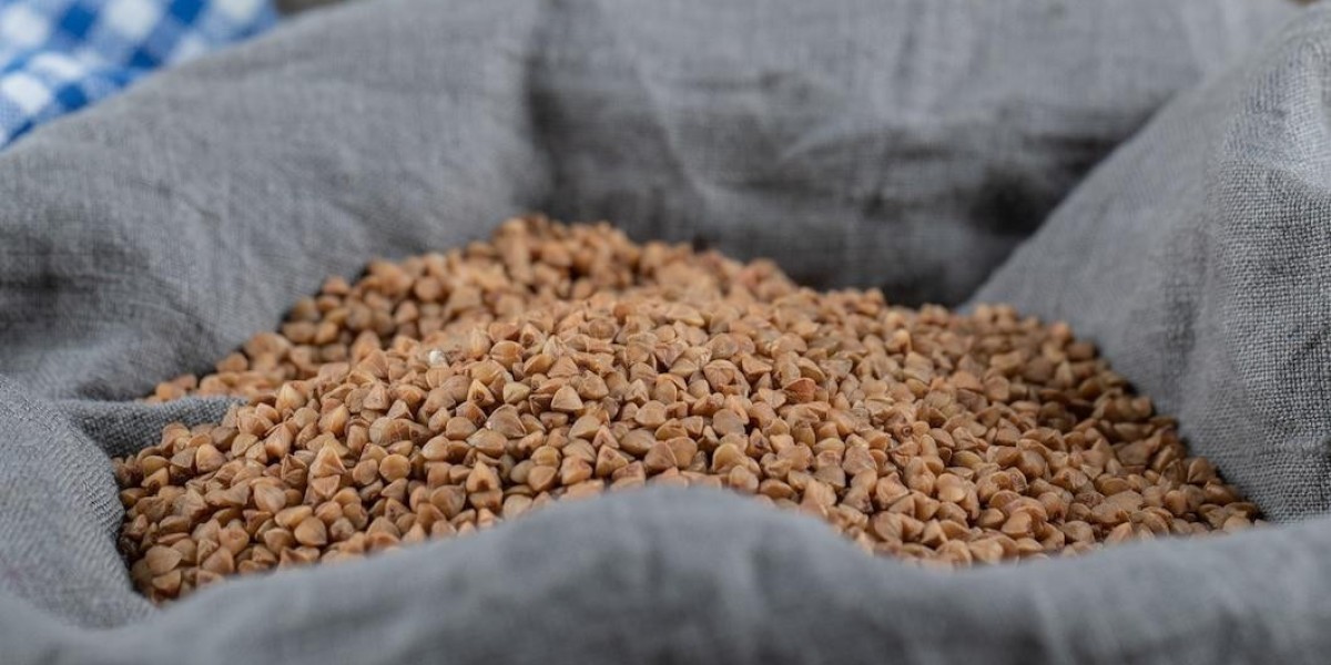 Europe Feed Premix Market Size, Emerging Trends and Investment Outlook 2033