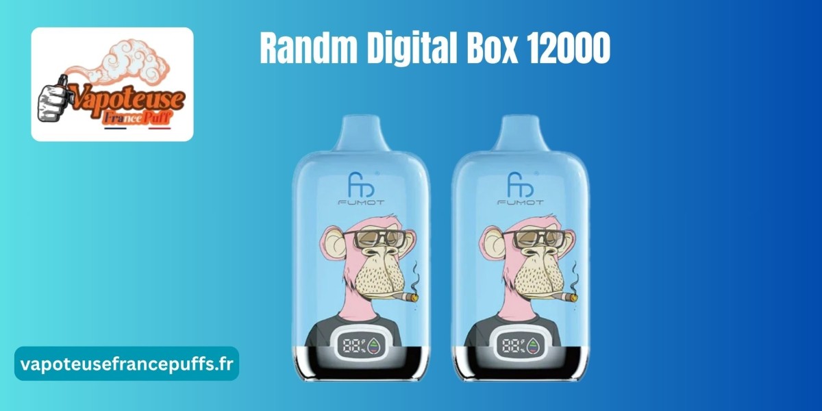 RandM Digital Box 12000 : La Révolution du Puff Digital Haut de Gamme