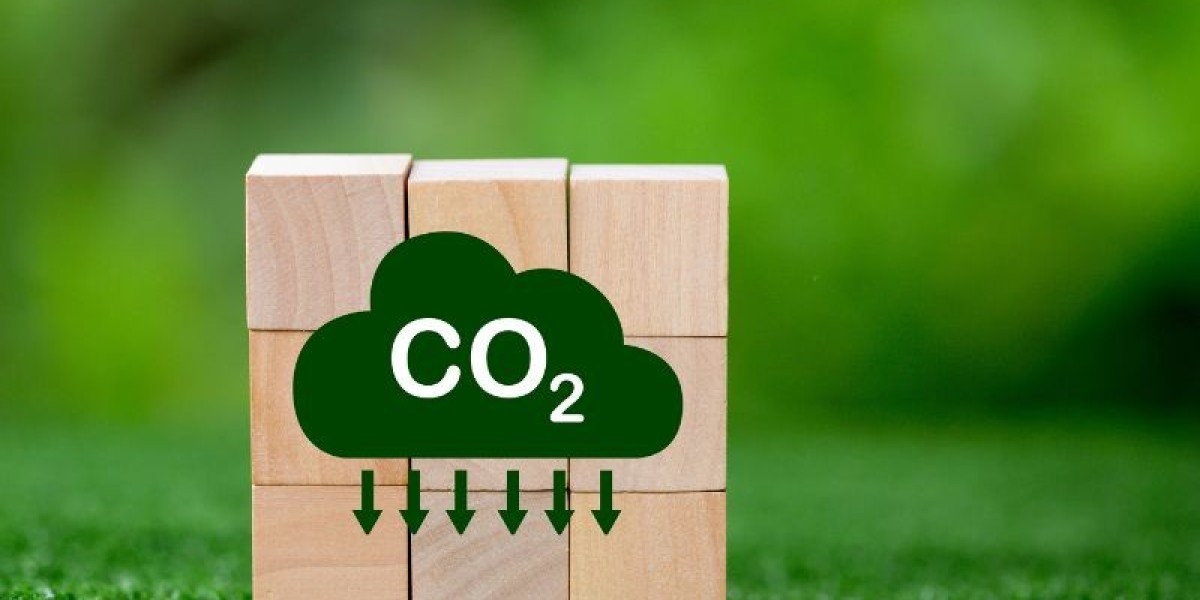 China Carbon Credit Market Insights 2032