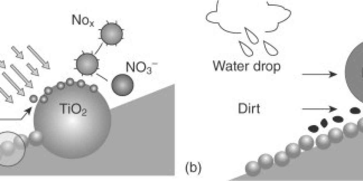 Nanoparticle Titanium Dioxide Market Dynamics and Future Prospects, 2030
