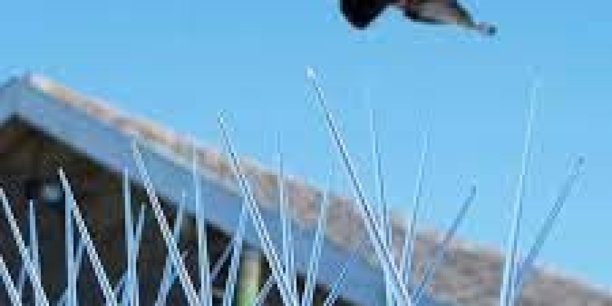 Effective Bird Proofing Taylors Lakes – Keep Birds Away for Good
