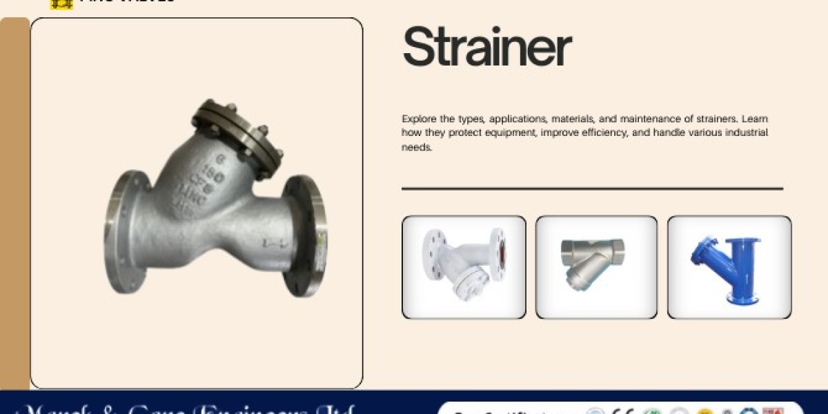 Strainers Valve Manufacturers in Ahmedabad, India | MNC VALVES