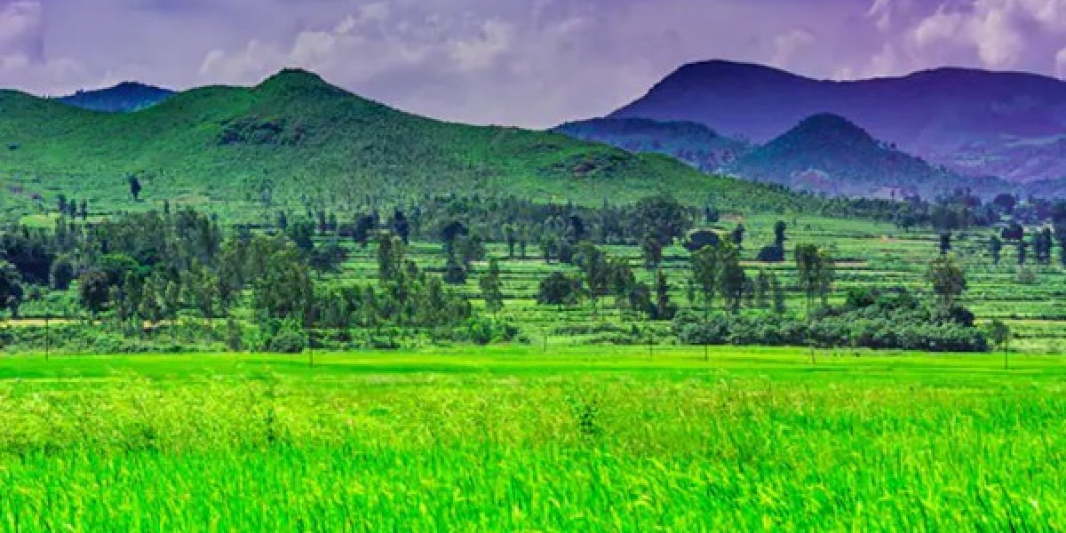 Asansol car Rental