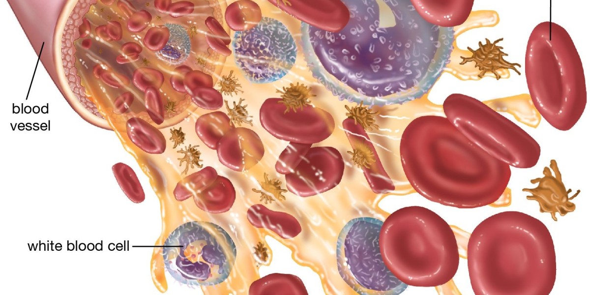 White Blood Cells and Their Impact on Overall Health