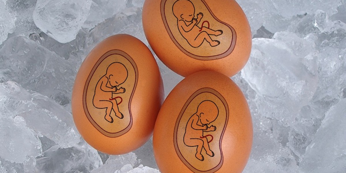 Frozen Eggs Market Insights Covering Consumer Preferences, Technological Advancements, Regulatory Frameworks, and Global