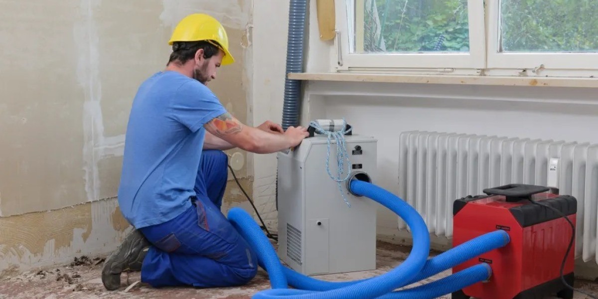 When Disaster Strikes: How to Bounce Back from Water Damage Restoration in Jackson MS