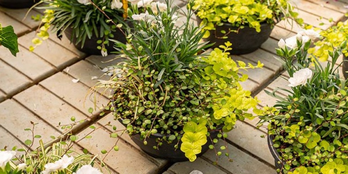 Smart Water & Irrigation Solutions in Houston