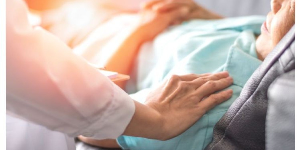 Global Domiciliary Insurance Market 2030 Report Highlights