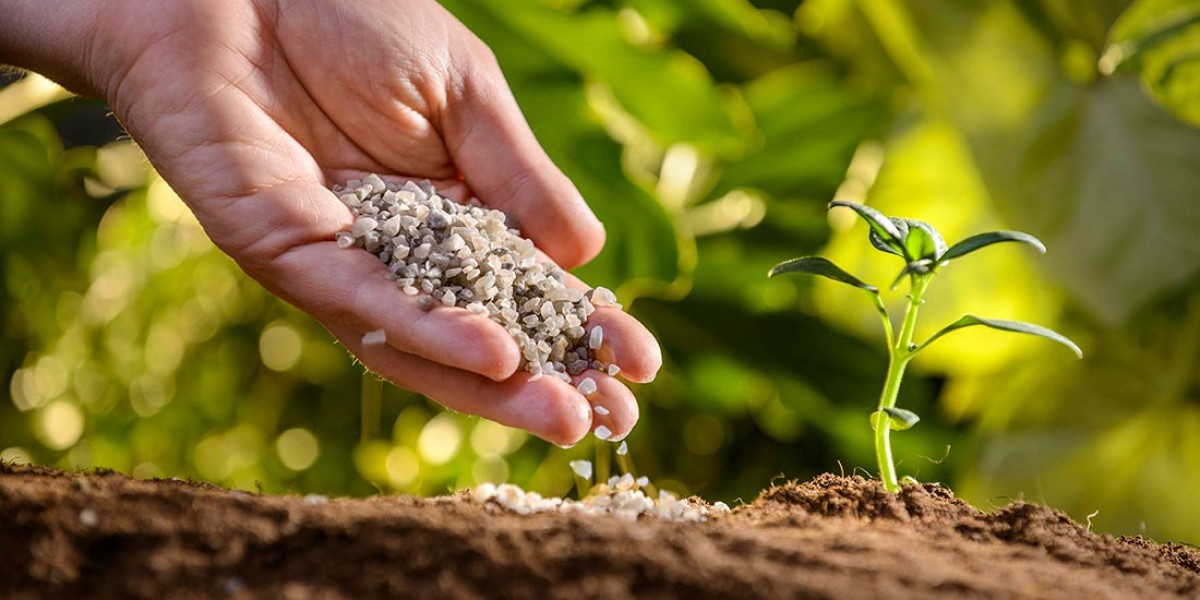 Organic Fertilizers Market Forecast 2023-2033: Growth Drivers, Trends & Global Insights