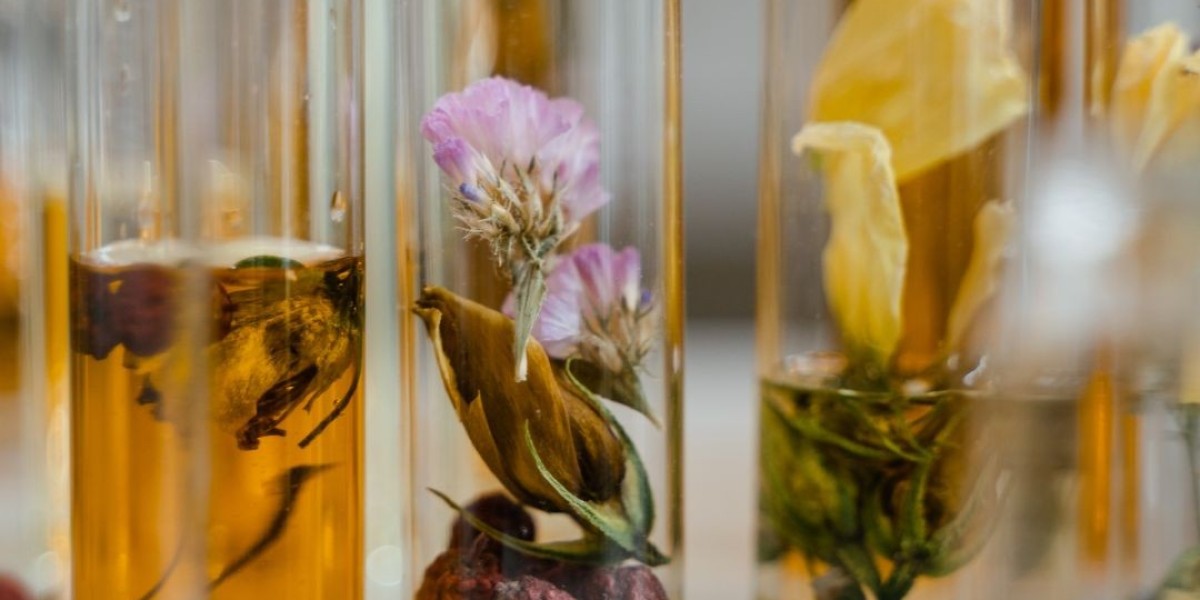 Niche Fragrance Brands and Non-Toxic Fragrance — Redefining Luxury with Conscious Elegance